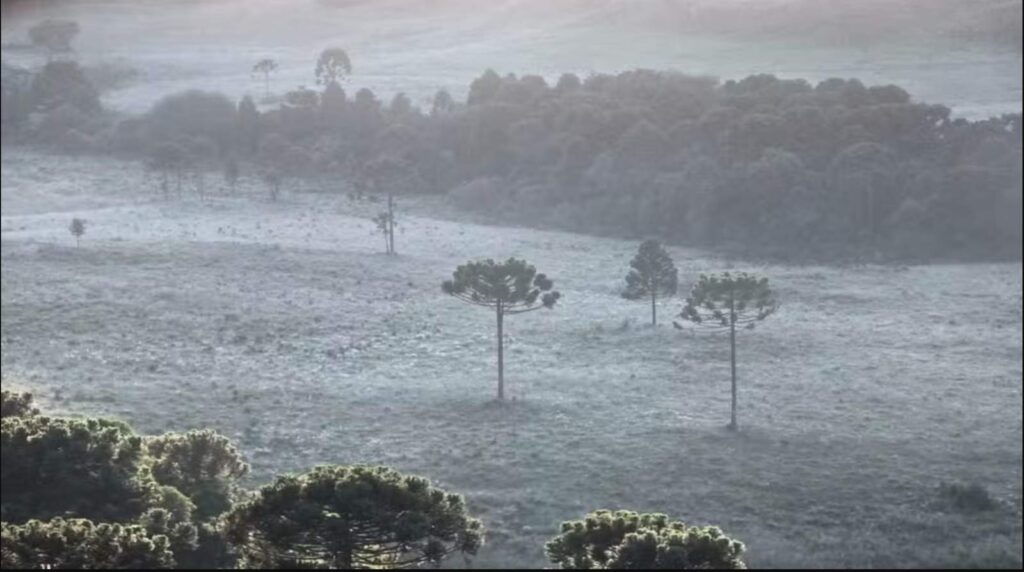 Gerada em São Joaquim SC 